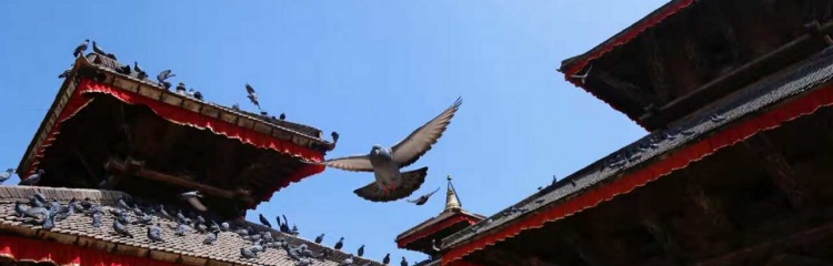 5晚/6日尼泊尔旅游行程：加德满都-奇特旺-本迪布尔-博卡拉